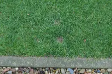 Urinfleck Z-E 20211215.webp