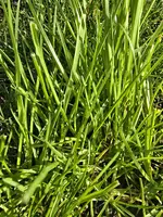 20250324_150236.webp