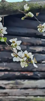20250324_172627.webp