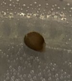 IMG_0255.jpeg
