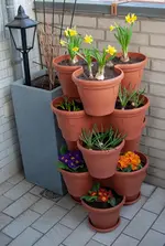 250325_turm.webp