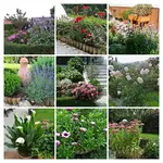 IMG_2702-COLLAGE.jpg IMG_2702-COLLAGE.jpg