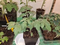 20250326_085224.jpg