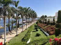 IMG_8196.jpeg