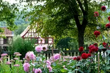 047.webp