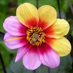 022.webp
