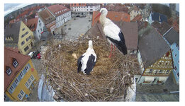 IMG_1919.jpeg