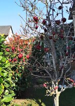 IMG_20250326_090154.jpg