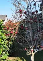 IMG_20250326_090154.webp