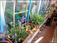 c011.webp