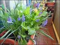 c012.webp