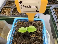 20250327_122244.webp 20250327_122244.webp