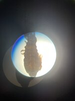IMG_9963.jpeg