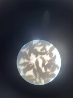 IMG_9966.jpeg