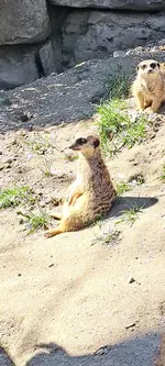 20250327_130538.webp