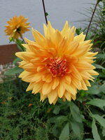20170821_160425.jpg