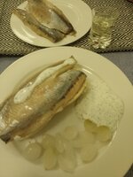 IMG_20250327_195748.jpg