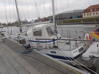 IMG_20250326_174646.jpg
