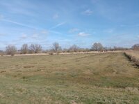 IMG_20250327_122459.jpg