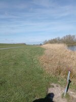 IMG_20250327_121739.jpg
