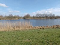 IMG_20250327_121602.jpg