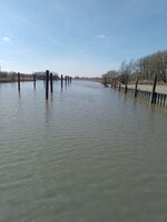 IMG_20250327_123515.jpg