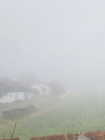 20250328_085136.jpg