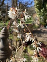 IMG_3710.jpeg