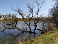 IMG_20250328_113901.jpg