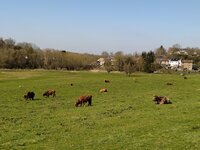 IMG_20250328_131908.jpg
