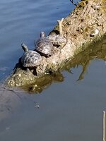 IMG_20250328_134025.jpg