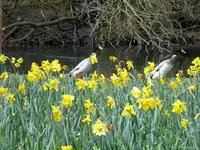 322.webp