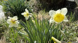 IMG_3845.jpeg