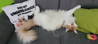 20250323_170630.jpg