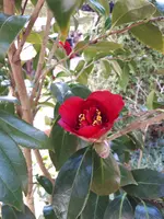 20250324_132248.webp