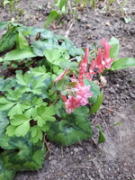 20250324_135726.jpg