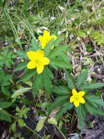 20250324_143550.webp