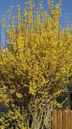 IMG_3848.jpeg