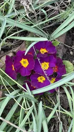 IMG_3849.webp