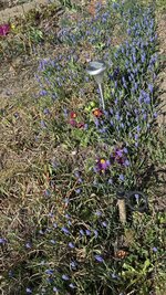 IMG_3856.jpeg