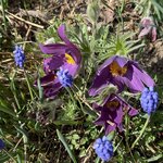 IMG_3853.jpeg