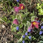 IMG_3852.jpeg