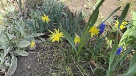 IMG_3858.jpeg