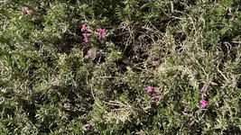 IMG_3857.webp