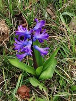 IMG_20250326_170101.jpg
