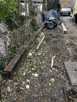 IMG_7938.jpeg