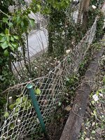 IMG_7943.jpeg