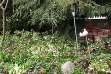 März     3125.webp