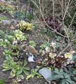 IMG_8285.jpeg