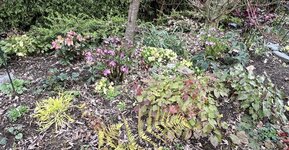 IMG_8286.jpeg